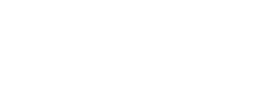 New World Fashion Group